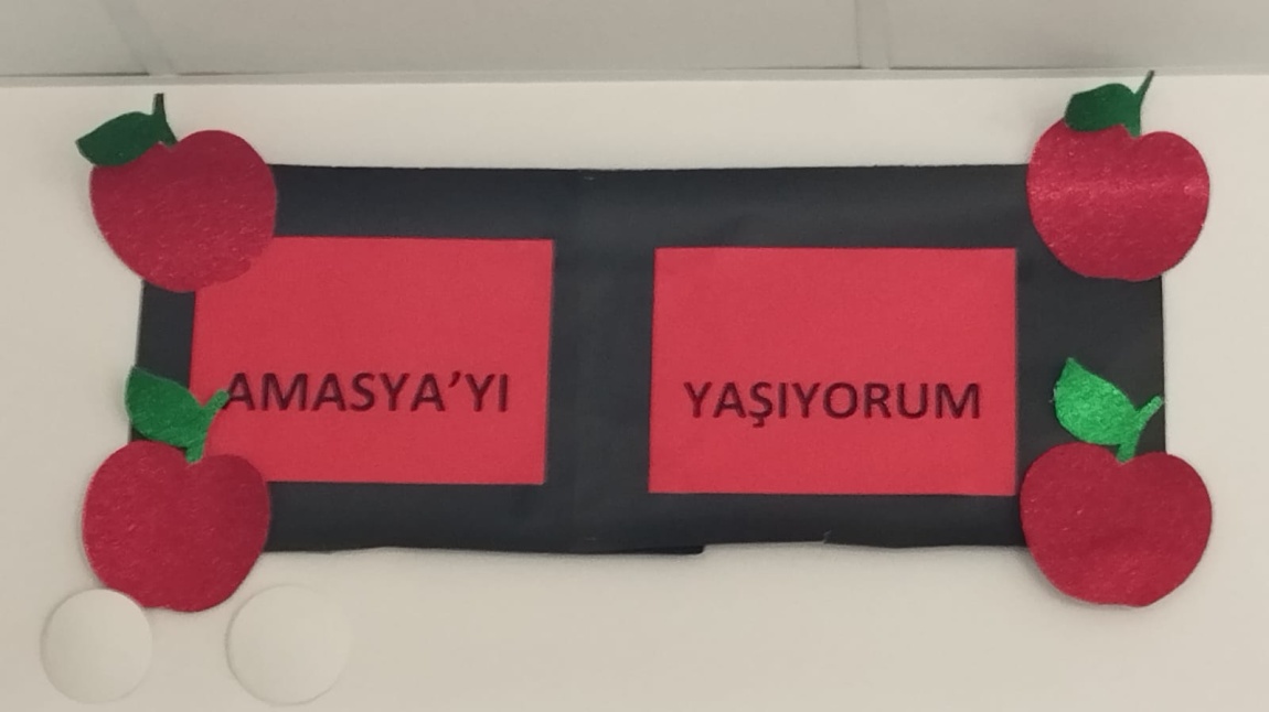 Amasya'yı Yaşıyorum